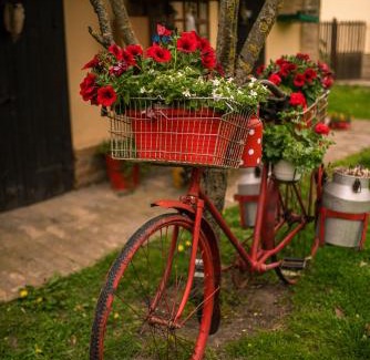 Novi Sad Casa | Brkin salaš