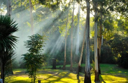 Buln Buln East Casa | Parque Brogui - Buln Buln East