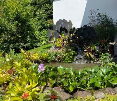 La Tigra Casa | Bromelia House