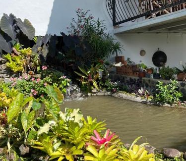 La Tigra Casa | Bromelia House