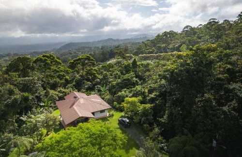 La Tigra Casa | Bromelia House