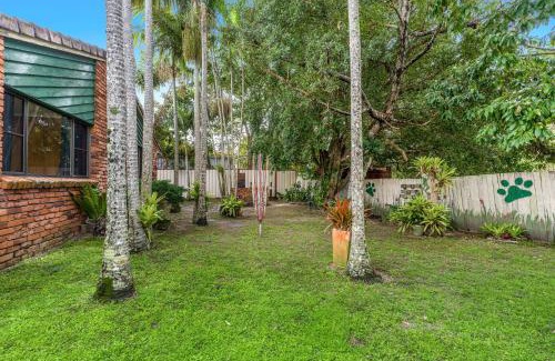 Iluka Casa | Bromeliads