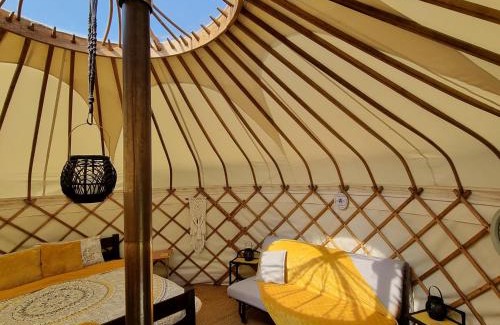 Llandovery Otro | Bronfelen Yurt