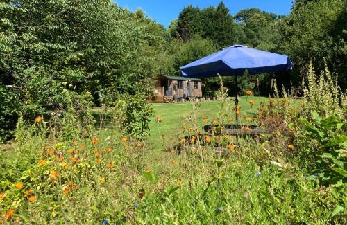 Saltash Cabina | Brook the Shepherd Hut