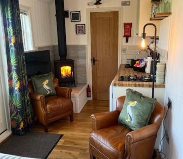 Newtown Cama Y Desayuno | Broombush B & B & Yr Nyth Shepherds Hut