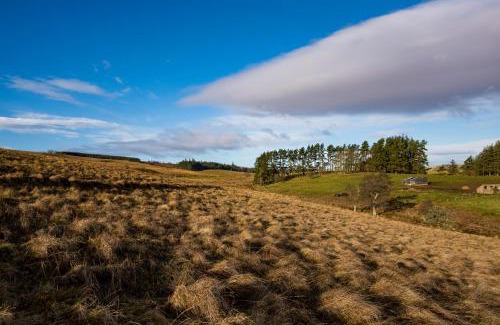 Bellingham Cabina | Brown Rigg Lodges