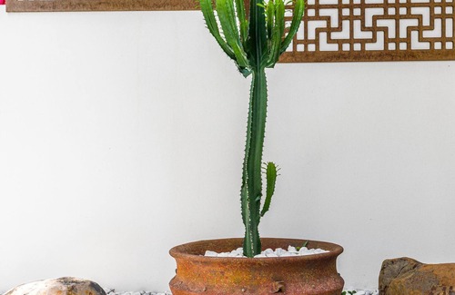 Byron Bay Villa | Browning Street Sea Drift - all you need for a great stay in Byron.