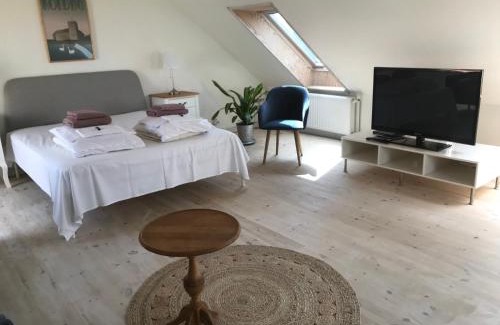 Vorbasse Apartamento | Brunbjerg Apartments