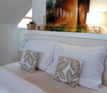 Vrbno pod Pradedem Apartamento | Brunetti Apartmány Jeseníky