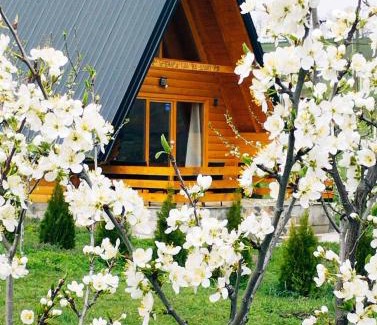 Sumadija Chalet De Esquí | Brvnara Kao na dlanu