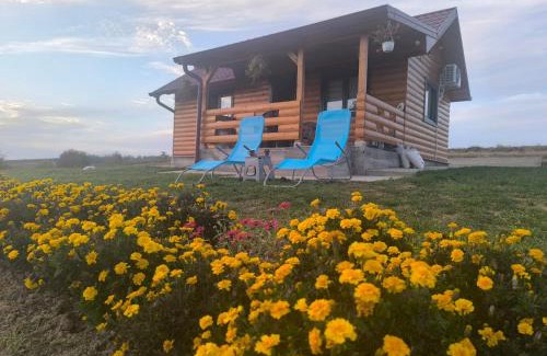 Mladenovac Casa | Brvnara Staničić