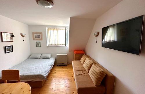 Kopaonik Apartamento | Brzeće - Bele staze Nikola