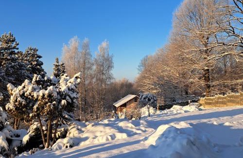Bochnia Casa | Brzozowy Zakątek