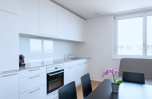 Basel City Centre Apartamento | BS Deer III - Messe HITrental Apartment