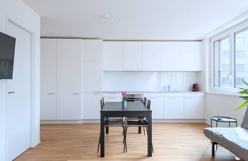 Basel City Centre Apartamento | BS Owl III - Messe HITrental Apartment
