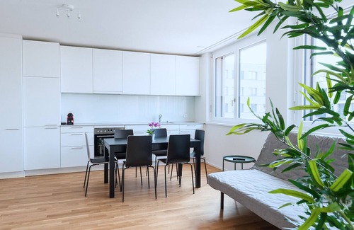 Basel City Centre Apartamento | BS Owl III - Messe HITrental Apartment