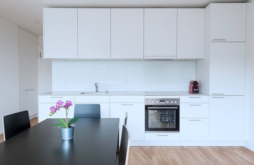 Basel City Centre Apartamento | BS Wolf IV - Messe HITrental Apartment