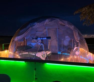 Adelfia Otro | Bubble World Wild Love