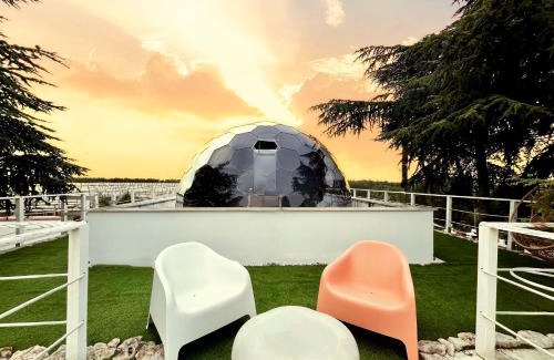 Adelfia Otro | Bubble World Wild Love