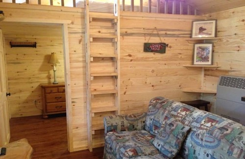 Frank Cabina | Buck Hill Tiny Home Cabin #3 Mountain & Pond Views