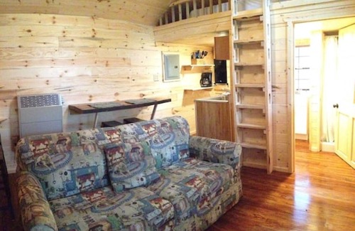 Frank Cabina | Buck Hill Tiny Home Cabin #3 Mountain & Pond Views