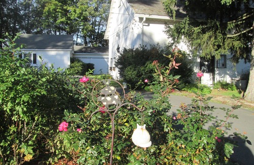 Montgomery Cama Y Desayuno | Buck's Homestead B&B