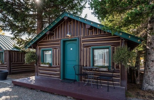 West Yellowstone Cabina | Bucking Moose Bison Cabin (#11)