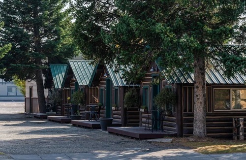 West Yellowstone Cabina | Bucking Moose Bison Cabin (#11)
