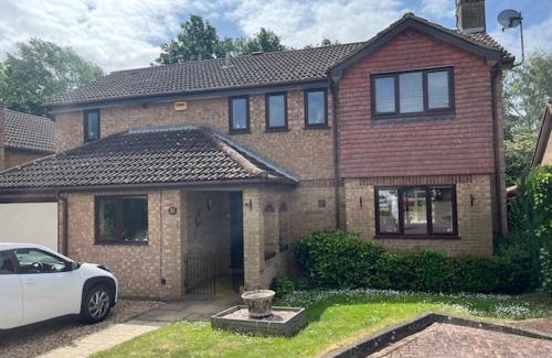 Buckingham Casa | Buckingham Osprey