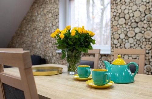 Tuchomie Apartamento | Buczylas Siedlisko