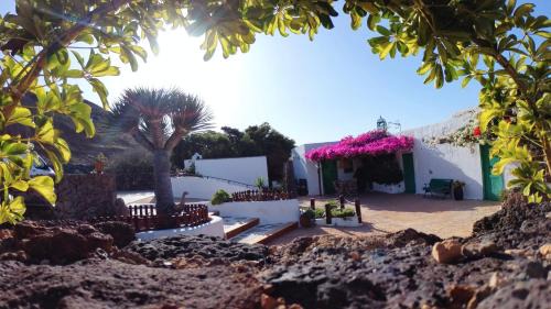 Tinajo Casa | BUGANVILLA MOLINO