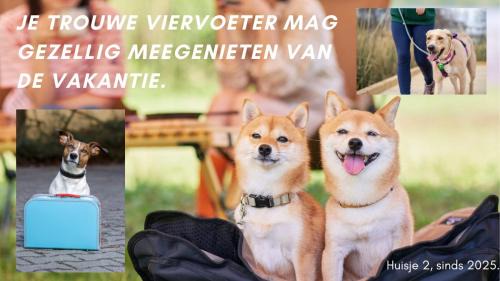Matsloot Casa | Buiten Huisje aan de Vaart 2