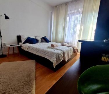Curtea De Arges Apartamento | Bulevard View Studio