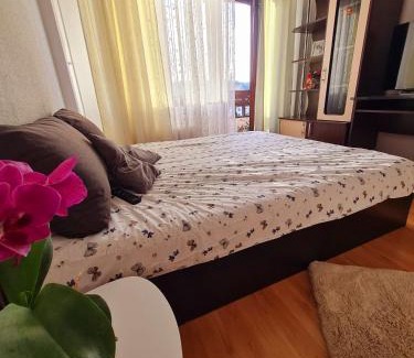 Curtea De Arges Apartamento | Bulevard View Studio