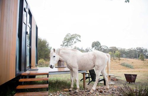 Martindale Casa | Bundaleer Tiny House 2 by Tiny Away