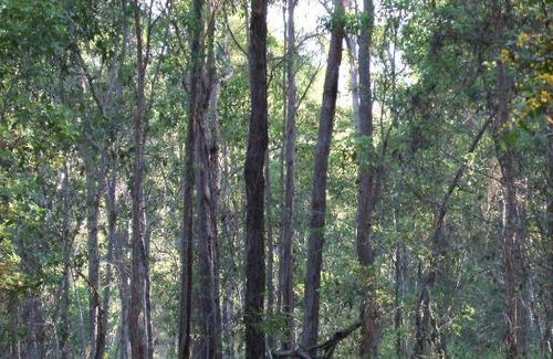Bullyard Casa | Bungadoo Country Cottage