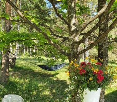 Divcibare Chalet De Esquí | Bungalov Zahej Divčibare