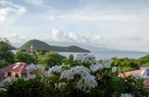 Terre-de-Haut Apartamento | Bungalow Anse Figuier