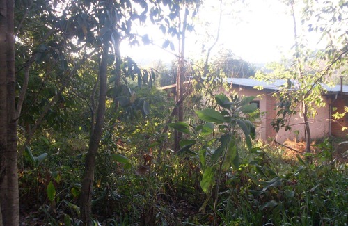 Antananarivo Avaradrano Casa | Bungalow Dowtown in a Park With Lake, Birdwatch