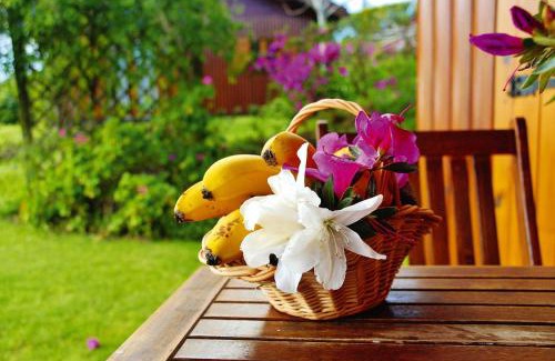 Vila Franca do Campo Casa | Bungalow São Miguel near Vila Franca Beach