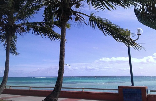 Sainte-Anne Cabaña | Bungalow - Ste Anne
