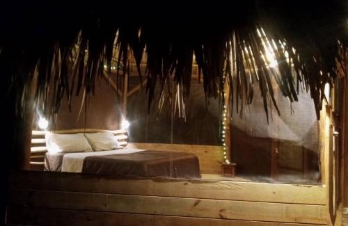 Las Terrenas Casa | bungalows tropicaux Jardin exotique