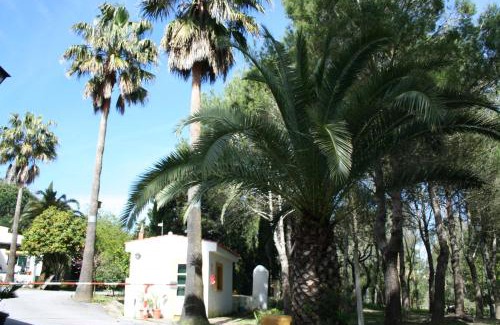 Medina-Sidonia Complejo | Bungalows y Glamping Medina Sidonia