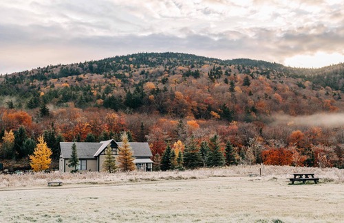 Bretton Woods Apartamento | Bunk in shared bunkroom with shared bathroom