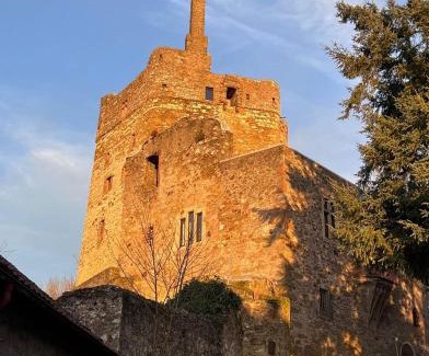 Wetzlar Cama Y Desayuno | Burg Hermannstein - Rittersaal