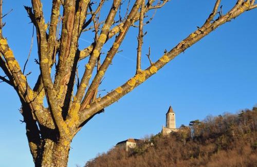 Seebenstein Apartamento | Burgblick Apartment- 60qm, Küche, Waschmaschine, Streamingdienste