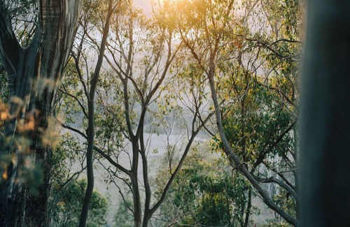 Dysart Cabina | Bus & Hot Tub – Secluded Eco Forest Retreat