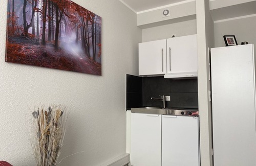 Oberstadt Apartamento | Business Apartment Mainz Duo