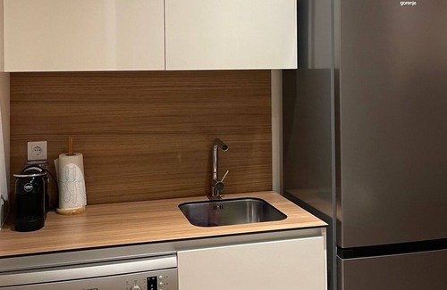 Sarajevska Apartamento | Business Suite at Belgrade Waterfront - one of the main