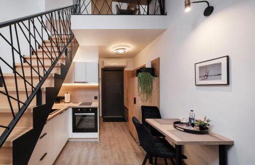 Kaunas Apartamento | Butas-loftas mieste, Kaunas